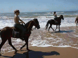 a woman riding a horse on the beach