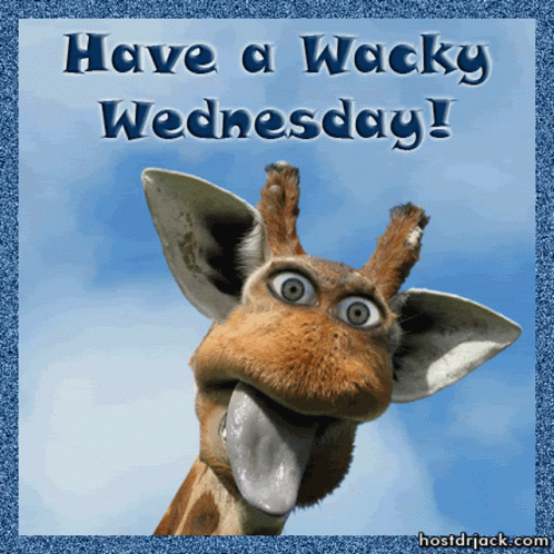Have A Wacky Wednesday Tongue Out GIF - Have A Wacky Wednesday Tongue Out GIFs