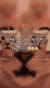 someone has hacked my phone what is this ?