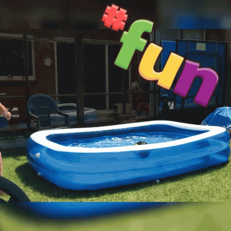 Zwembad Fun GIF - Zwembad Fun Swimming GIFs
