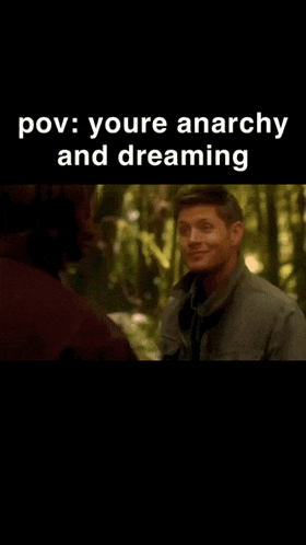 a blurred image of a person with the words pov : youre anarchy and dreaming on the bottom