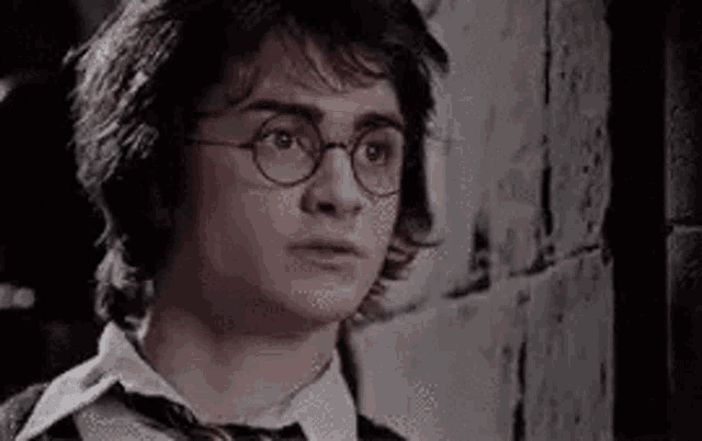 harry potter wearing glasses and a tie is standing next to a brick wall .