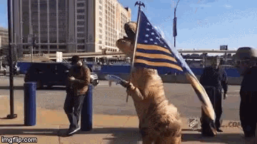 a dog in a t-rex costume holding an american flag