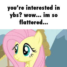 a picture of a pony with the words " you 're interested in ybs wow im so flattered "
