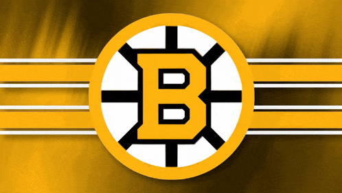 Boston Bruins Bruins Goal GIF