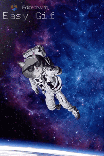Space Moon GIF - Space Moon Web Cat Society GIFs