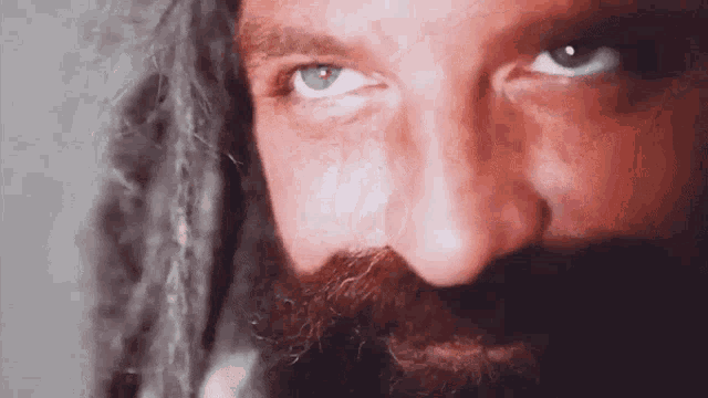 a close up of a man 's face with a beard and dreadlocks looking at the camera .