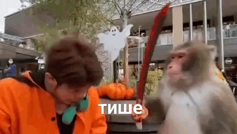 a man and a monkey are fighting with a sword .