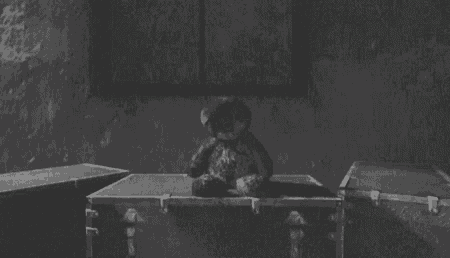 a black and white photo of a teddy bear sitting on top of a trunk
