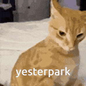 a cat is sitting on a bed with the word yesterpark written on it