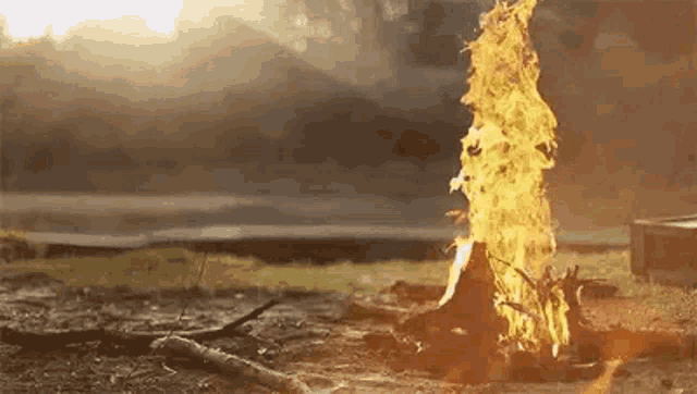 a campfire is burning in the middle of a field with the sun shining through the smoke .
