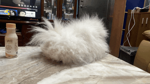a bottle of nestle yogurt sits on a table next to a white furry object
