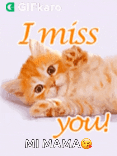 a kitten is laying on its back with the words `` i miss you '' written above it .