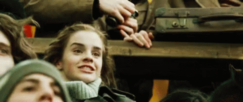 Harry Potter Hermione Granger GIF - Harry Potter Hermione Granger Yes GIFs