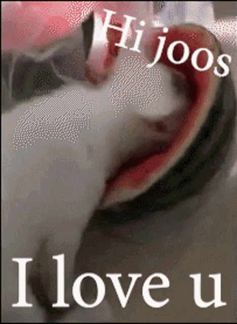 a picture of a cat eating a slice of watermelon with the words " i love u " on the bottom