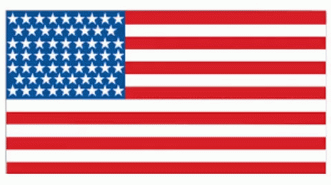 American Flag Flag Day GIF - American Flag Flag Day Usa GIFs