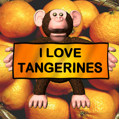 I Love Tangerines Oranges GIF - I Love Tangerines Tangerine Oranges GIFs