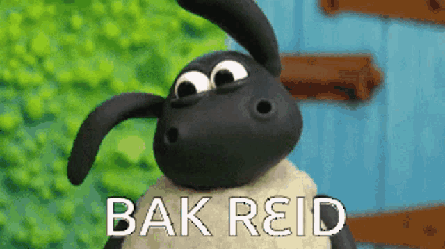 a cartoon sheep with the words bak reid on the bottom right