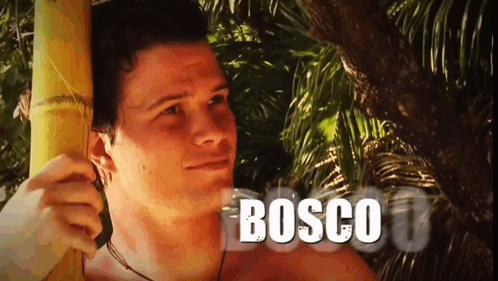 Bosco Bosco Sv23 GIF - Bosco Bosco Sv23 GIFs
