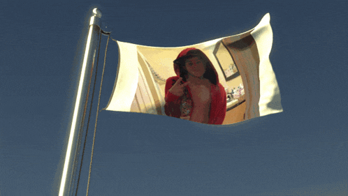 a flag with a picture of a man in a red hoodie