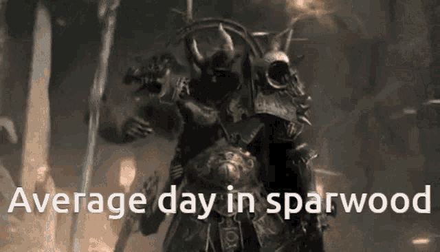 a picture of a knight with the words " average day in sparwood " below him