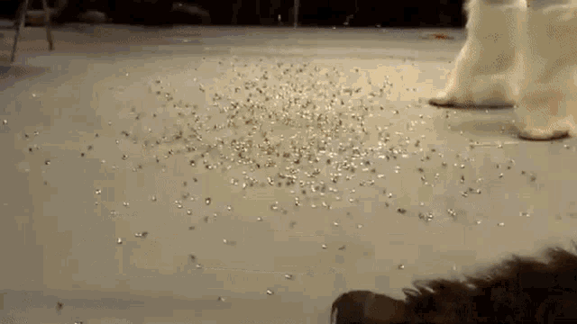 a person is standing on a floor with a lot of confetti on it