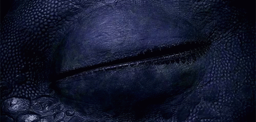 Dragons Wake Up GIF - Dragons Wake Up Toothless - Discover & Share GIFs