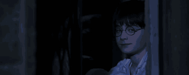 harry potter is wearing glasses and looking out a window at night .