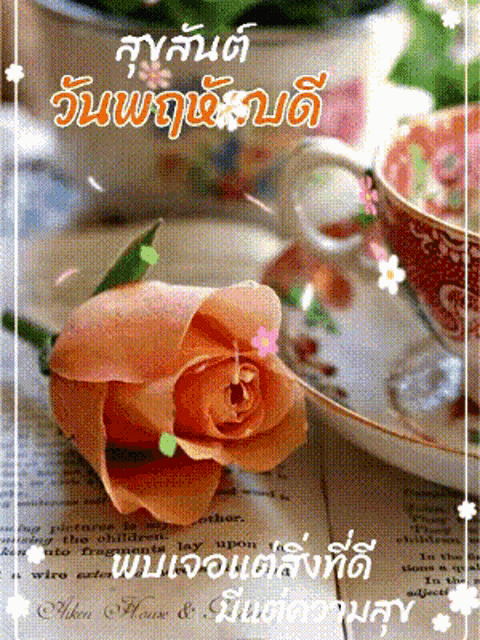 an orange rose sits next to a cup and saucer on a book