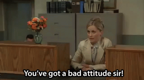 You'Ve Got A Bad Attitude Sir! GIF - Amy Poehler Youve Got A Bad Attitude Sir Sir GIFs