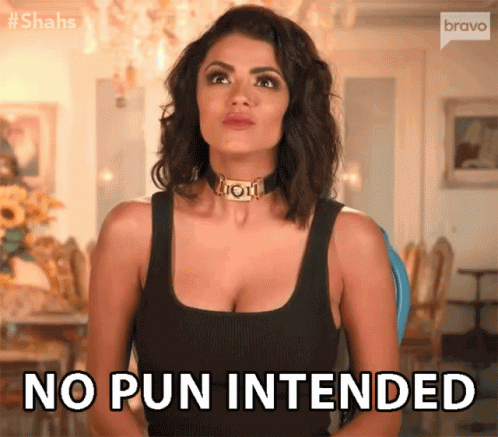 No Pun Intended Seriously GIF - No Pun Intended Seriously Sincere GIFs