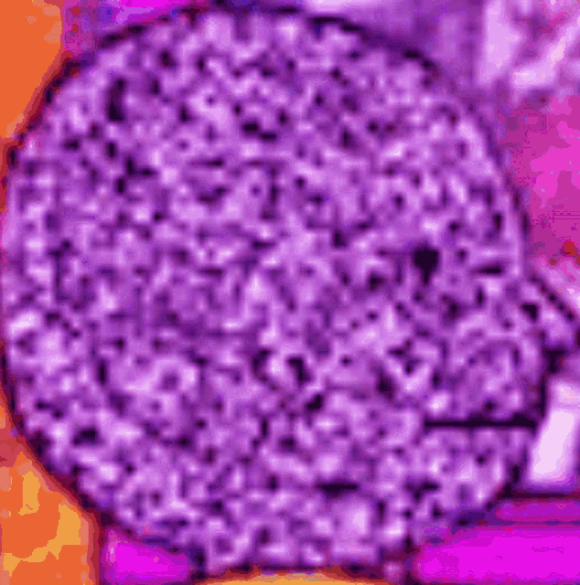 a purple and pink background with a circle in the center