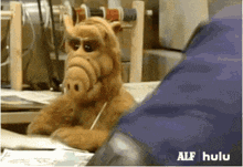 a stuffed animal is sitting at a desk with the words alf hulu on the bottom