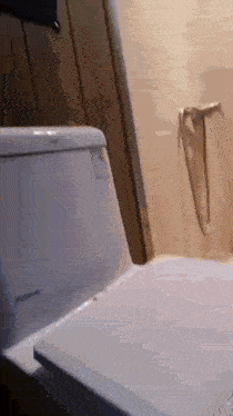 a close up of a toilet in a bathroom with a door behind it .