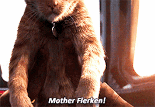 Mother Flerken GIF - Mother Flerken Nick Fury GIFs