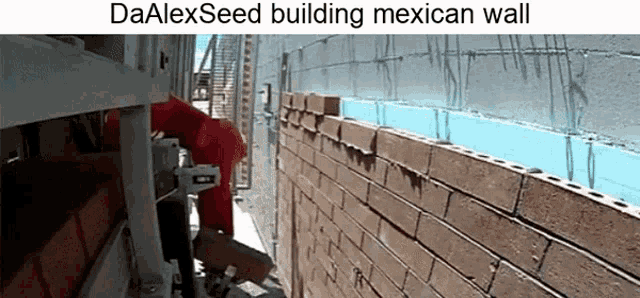 a brick wall is being built with the words daalexseed building mexican wall above it