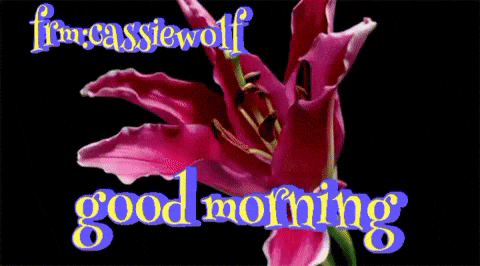a picture of a pink flower with the words " good morning " below it