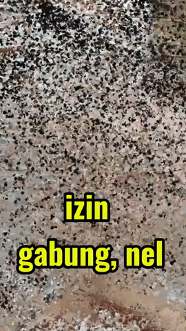 a picture of a marble surface with the words izin gabung nel written in yellow