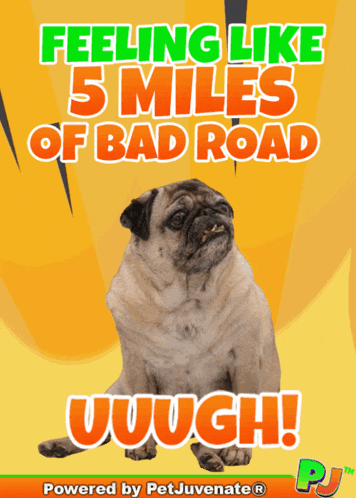 a pug dog is on a poster that says " feeling like 5 miles of bad road "