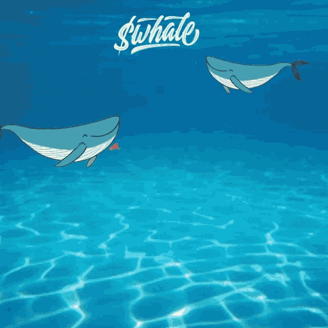 two whales are swimming in the water with the word whales on the bottom