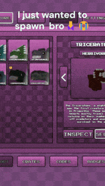 a screenshot of a video game that says " i just wanted to spawn bro "