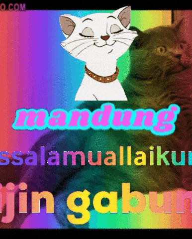a rainbow background with a cat and the words mandun