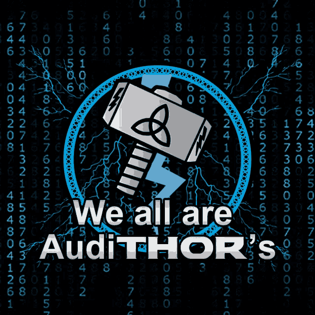 a poster that says we all are auditor 's