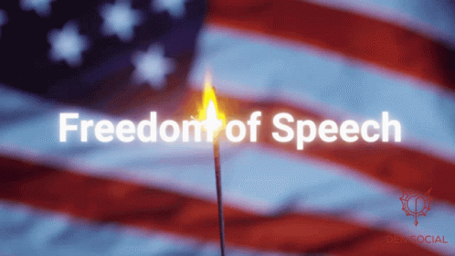 Freedom Of Speech Free Speech GIF - Freedom Of Speech Free Speech Thierry Baudet GIFs