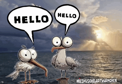 a cartoon of seagulls talking to each other with speech bubbles that say hello