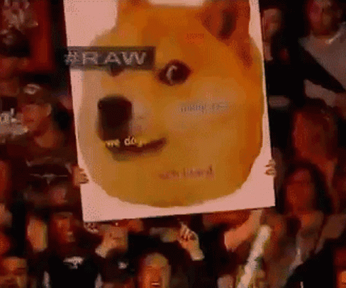 Meme Wwe GIF - Meme Wwe Doge GIFs