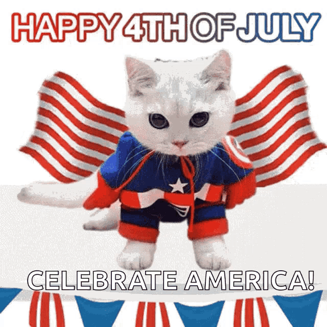 a cat dressed in a captain america costume says " happy 4th of july celebrate america "