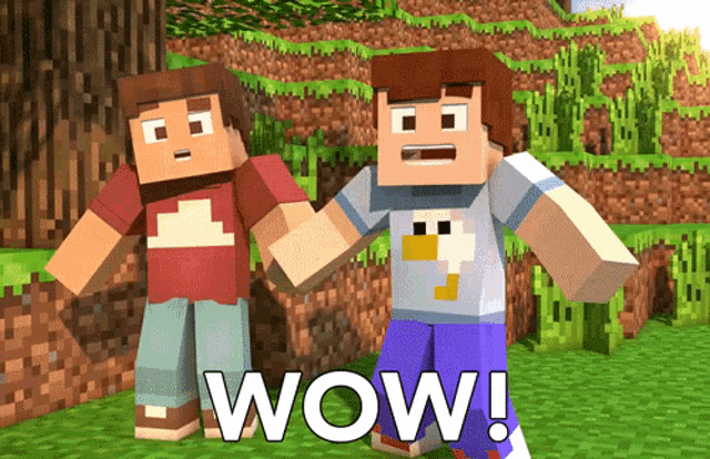 two minecraft characters are standing next to each other and the words wow are on the screen