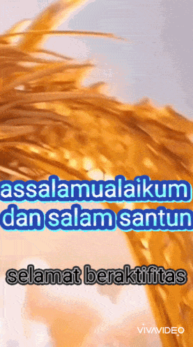 a video that says assalamualaikum dan salam santun on it