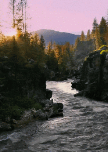 Beautiful Nature GIF - Beautiful Nature Stream GIFs